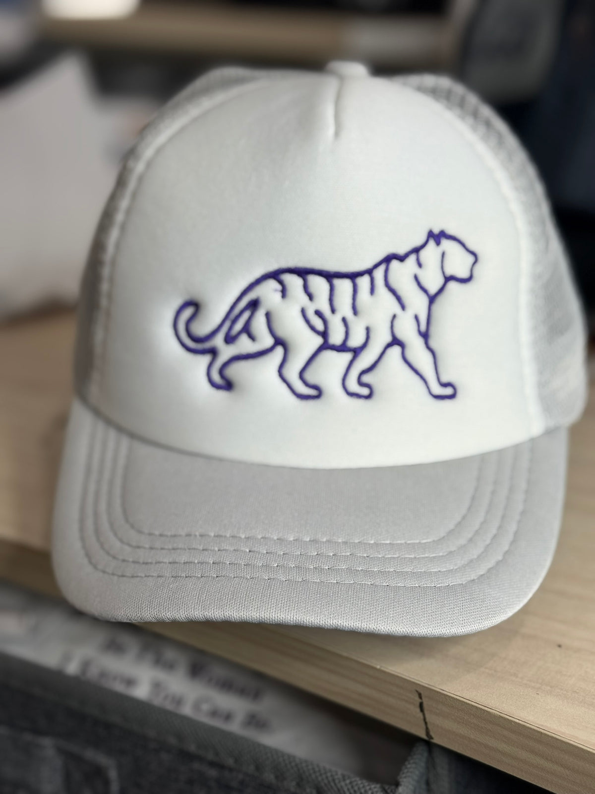 RTG | Tiger Outline Embroidered Youth Hat