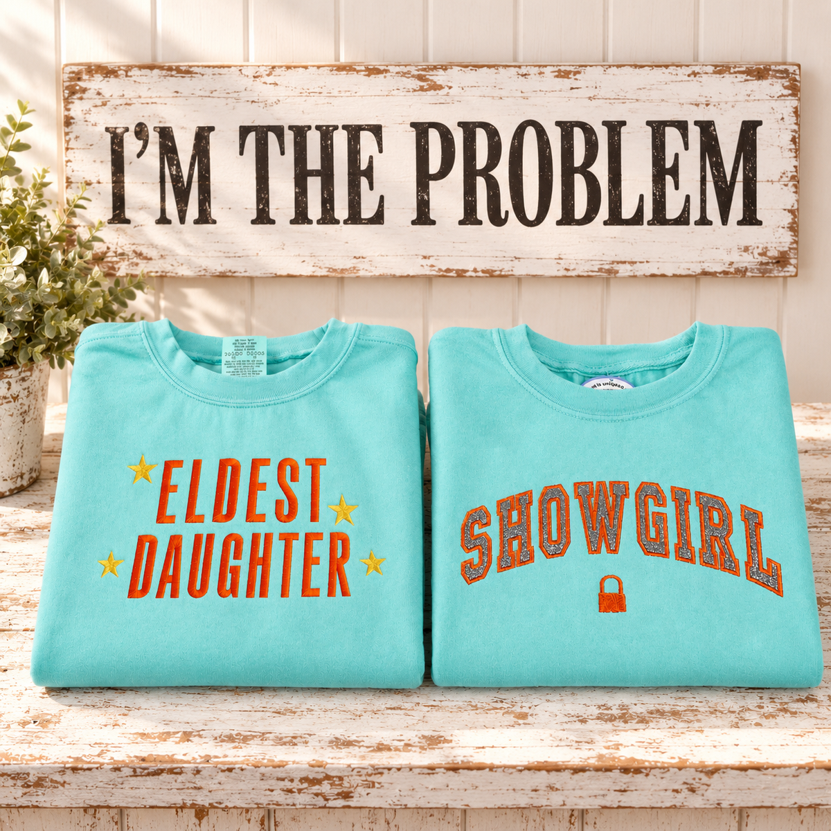 I'm the Problem, It's Me