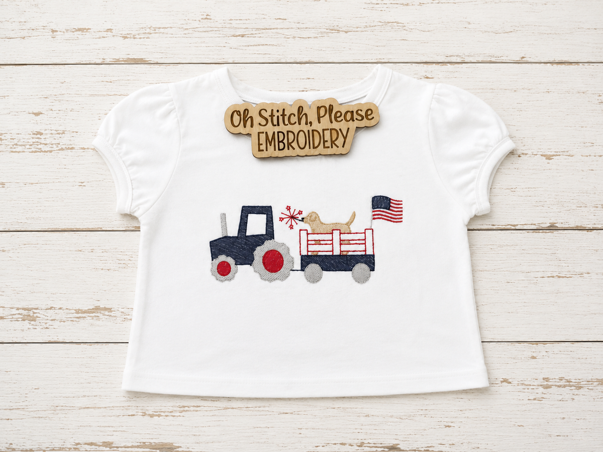 July 4th Patriotic Dog Riding in a Trailer